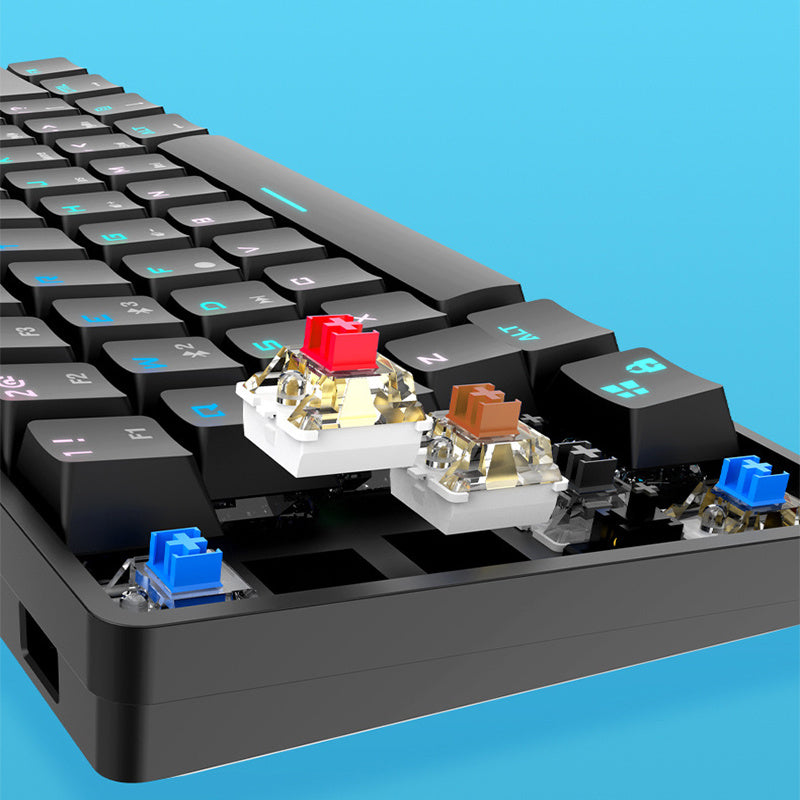 Close-up of a mechanical keyboard with visible key switches on a blue background