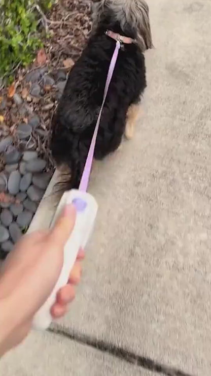 Dog leash 2
