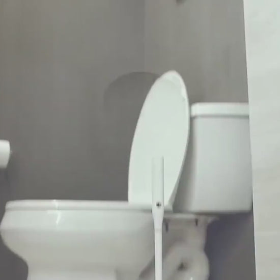 Electric Toilet Brush