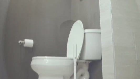 Electric Toilet Brush