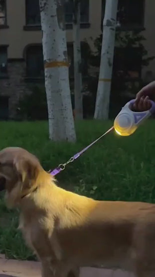 Dog leash 4