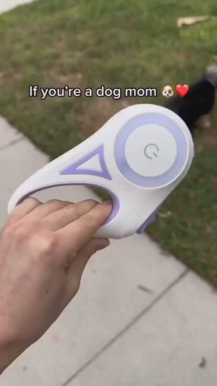 Dog leash 3