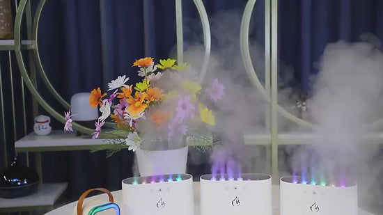 flame humidifier