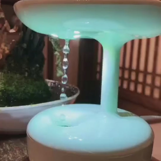 Anti-Gravity Humidifier 2
