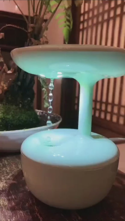 Anti-Gravity Humidifier 2