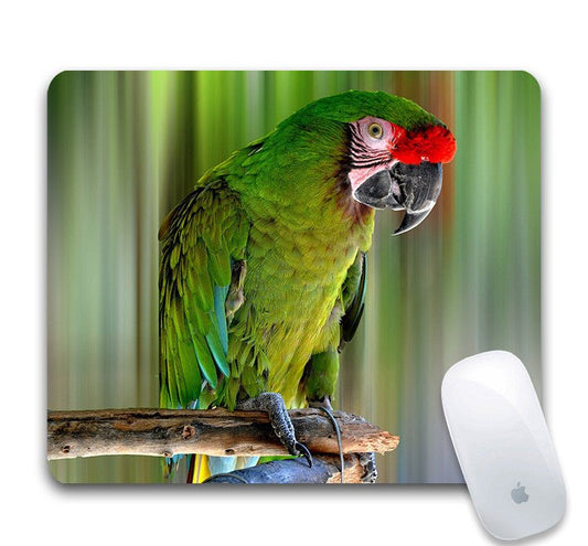 Mouse pad with a green parrot design and an Apple mouse on a white background