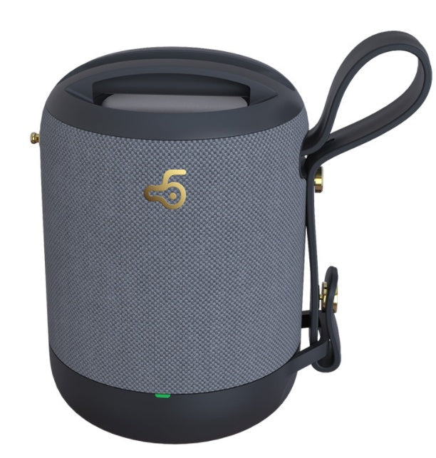 Gray portable speaker with a handle and visible brand logo on a white background